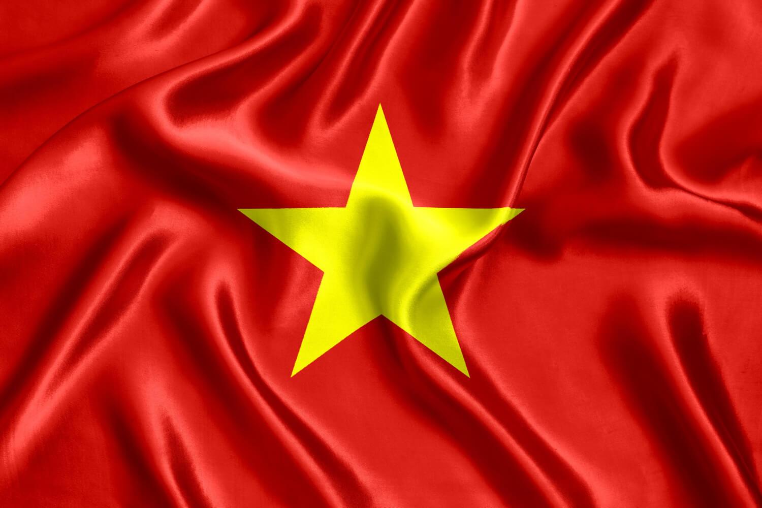 Flag of Vietnam - Certified Translation Services