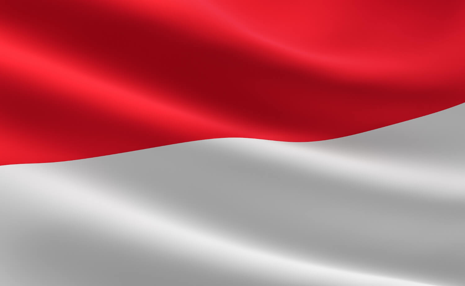 Indonesian Flag - Naric Org